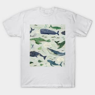 Cabbage whales T-Shirt